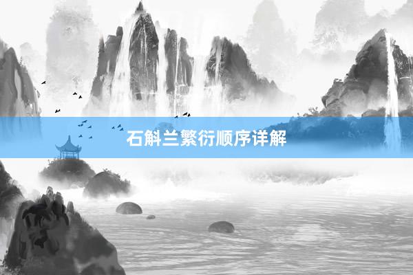 石斛兰繁衍顺序详解