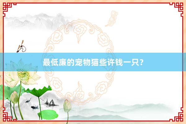 最低廉的宠物猫些许钱一只?